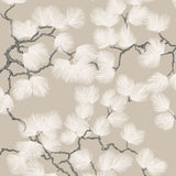 Pine, Beige van Sandberg | Kids Conceptstore Le Fanfare