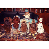 Socks - Eru and bordeaux stripes