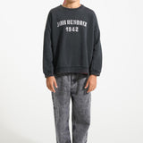 Chiffon bandana -Bordeaux with red apples allover