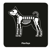 Dierenarts set