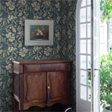 Daphne, Midnight Blue