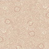 Carolina, Terracotta