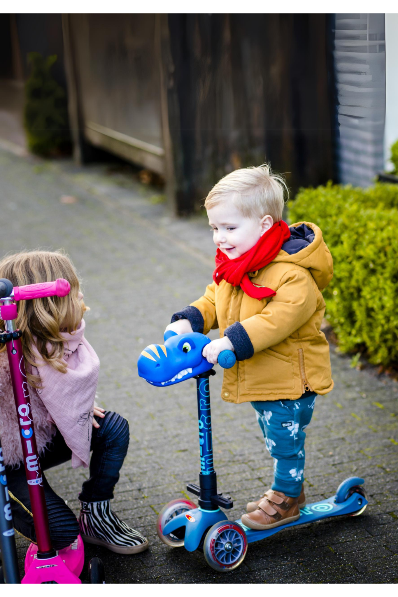 Scootaheadz Dino Blue van Micro Step | Kids Conceptstore Le Fanfare