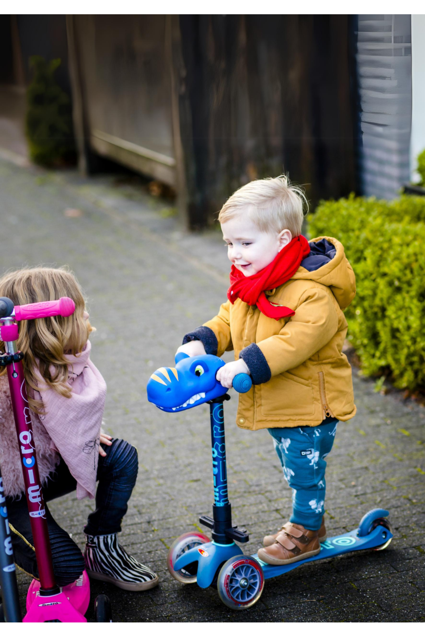 Scootaheadz Dino Blue van Micro Step | Kids Conceptstore Le Fanfare