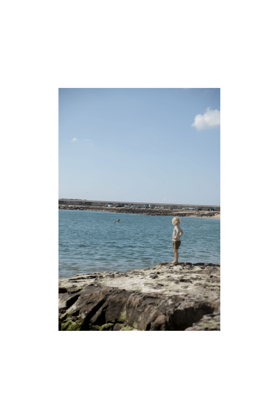 Swiggo Shorts - Boardshorts - Dark Bronze van MarMar Copenhagen | Kids Conceptstore Le Fanfare