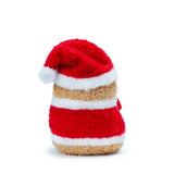 Santa Ricespud