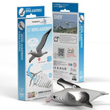 Vogel - Albatros van Eugy | Kids Conceptstore Le Fanfare