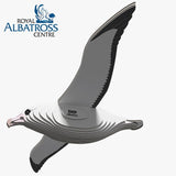 Vogel - Albatros van Eugy | Kids Conceptstore Le Fanfare