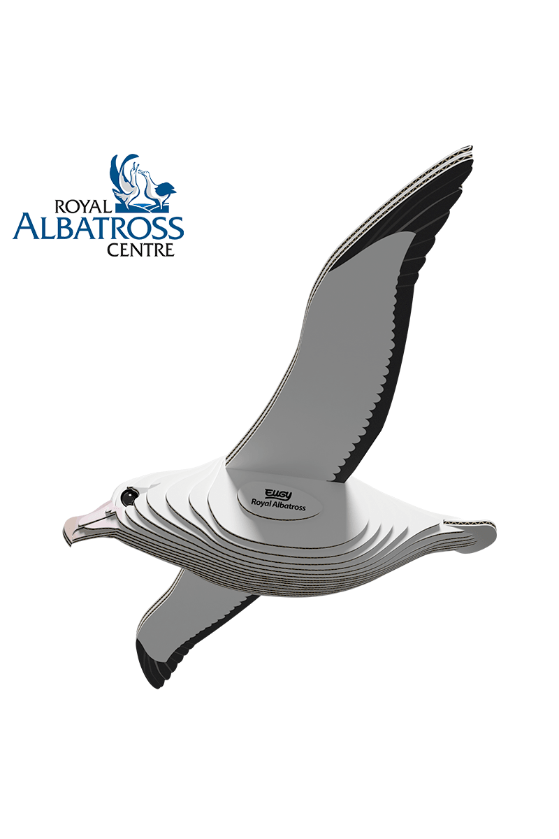 Vogel - Albatros van Eugy | Kids Conceptstore Le Fanfare