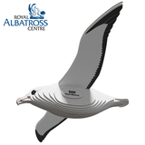 Vogel - Albatros van Eugy | Kids Conceptstore Le Fanfare