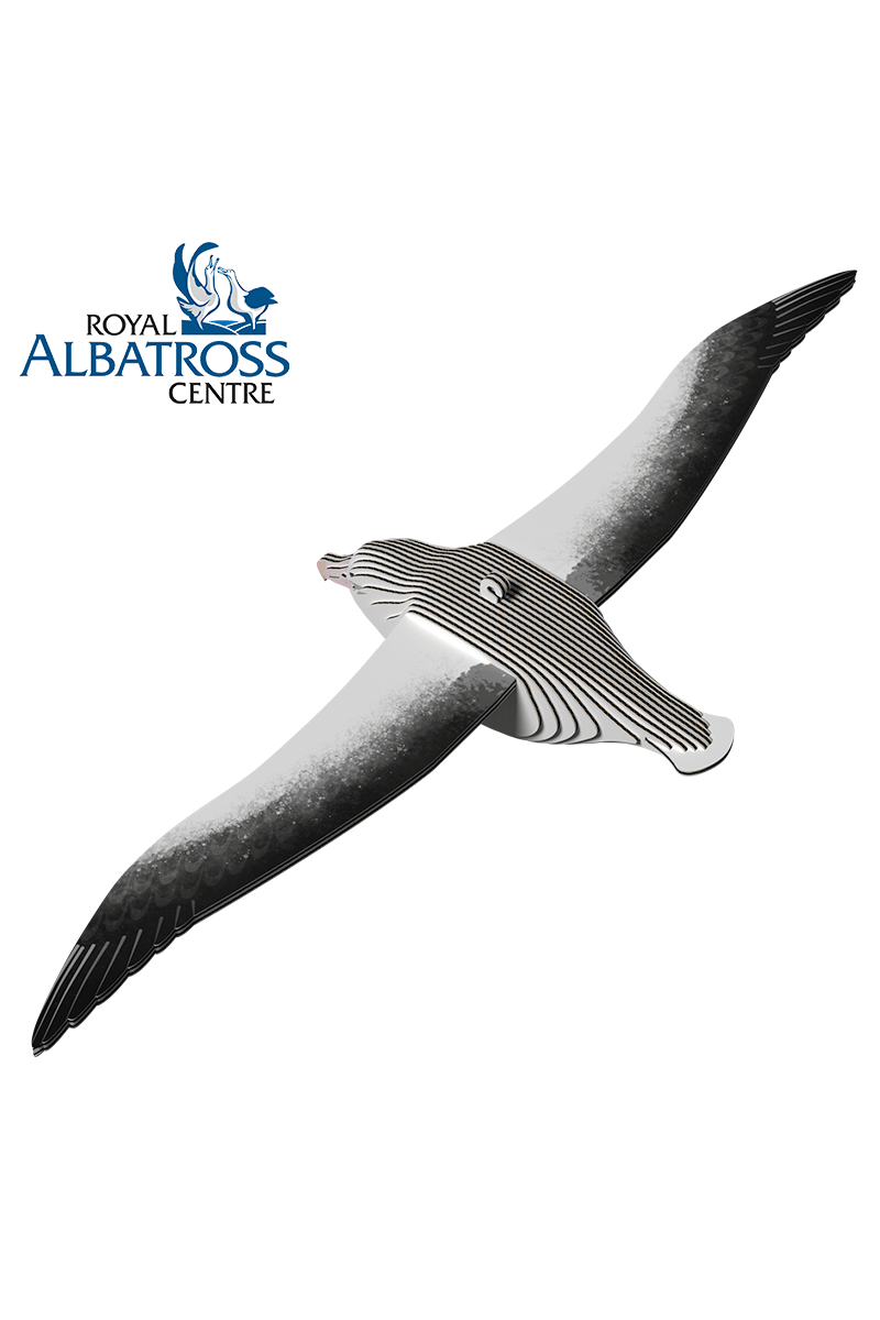 Vogel - Albatros van Eugy | Kids Conceptstore Le Fanfare