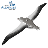 Vogel - Albatros van Eugy | Kids Conceptstore Le Fanfare