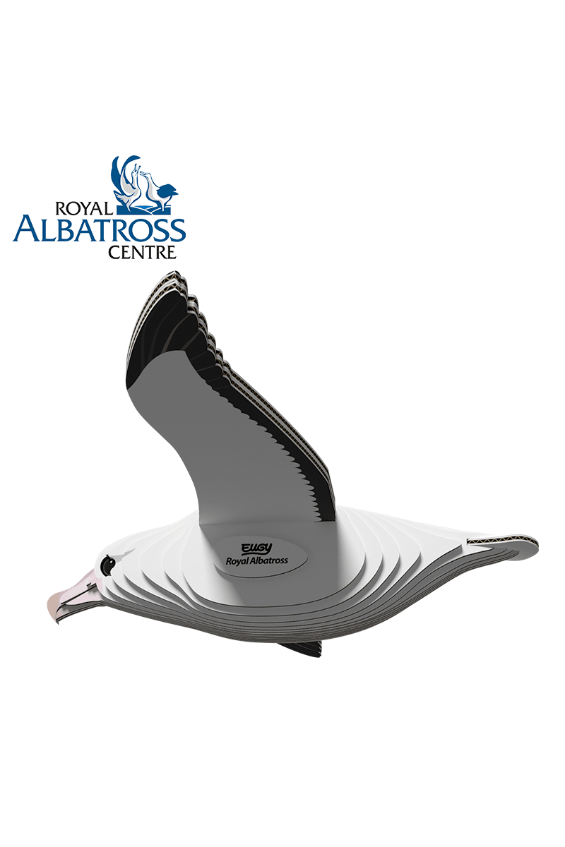 Vogel - Albatros van Eugy | Kids Conceptstore Le Fanfare