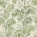 Wallpaper Casablanca Afternoon - Palm Green van Långelid / von Brömssen | Kids Conceptstore Le Fanfare