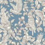 Wallpaper Talk About Cockatoos - Faded Denim van Långelid / von Brömssen | Kids Conceptstore Le Fanfare