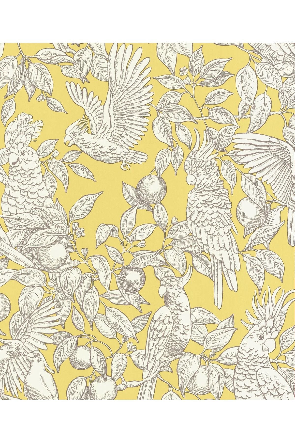 Wallpaper Talk About Cockatoos - Lemon van Långelid / von Brömssen | Kids Conceptstore Le Fanfare
