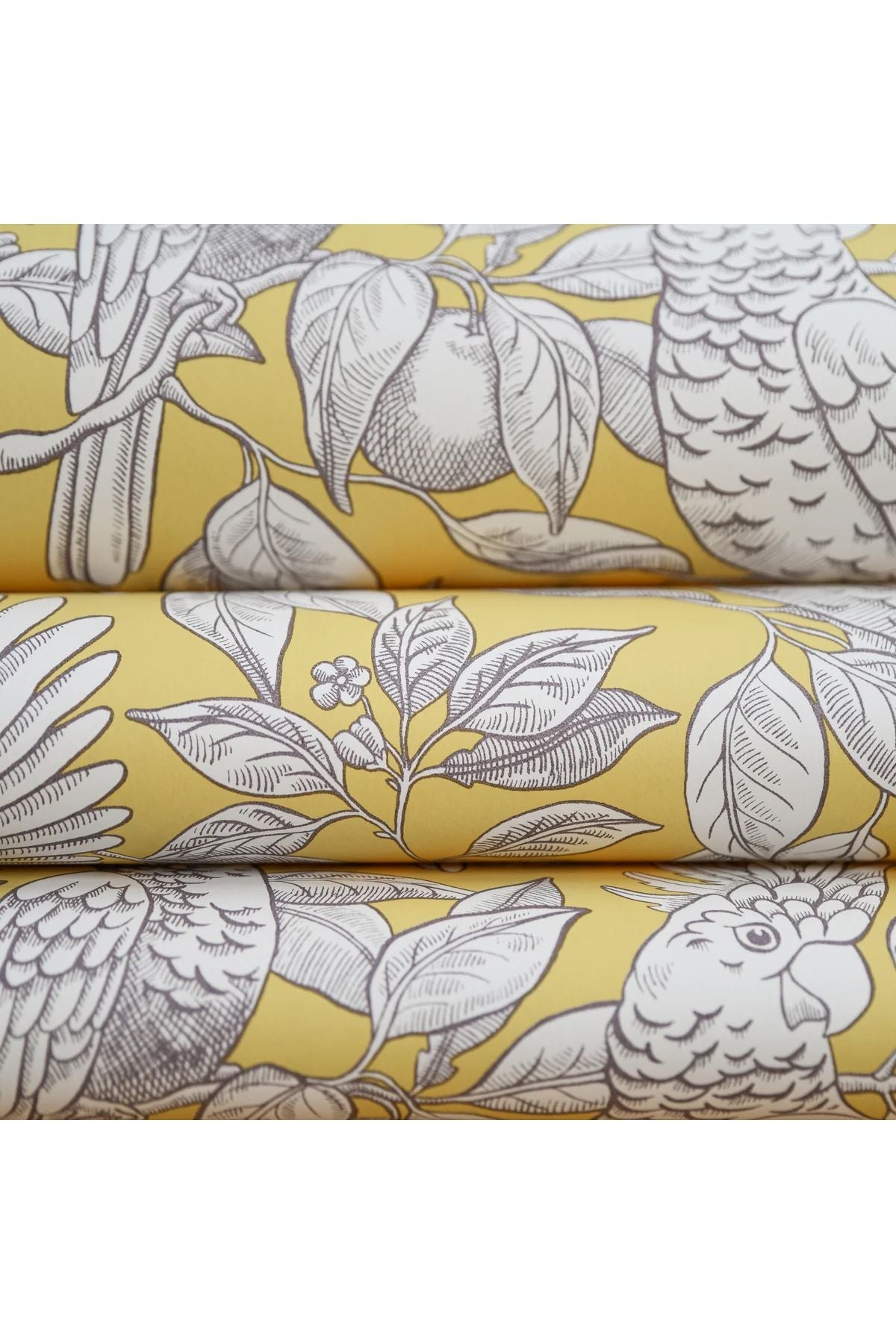 Wallpaper Talk About Cockatoos - Lemon van Långelid / von Brömssen | Kids Conceptstore Le Fanfare