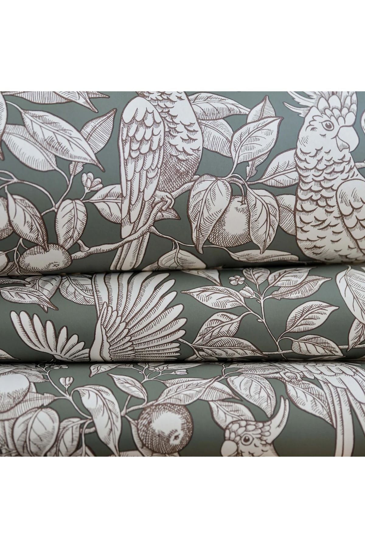 Wallpaper Talk About Cockatoos - Sage Green van Långelid / von Brömssen | Kids Conceptstore Le Fanfare