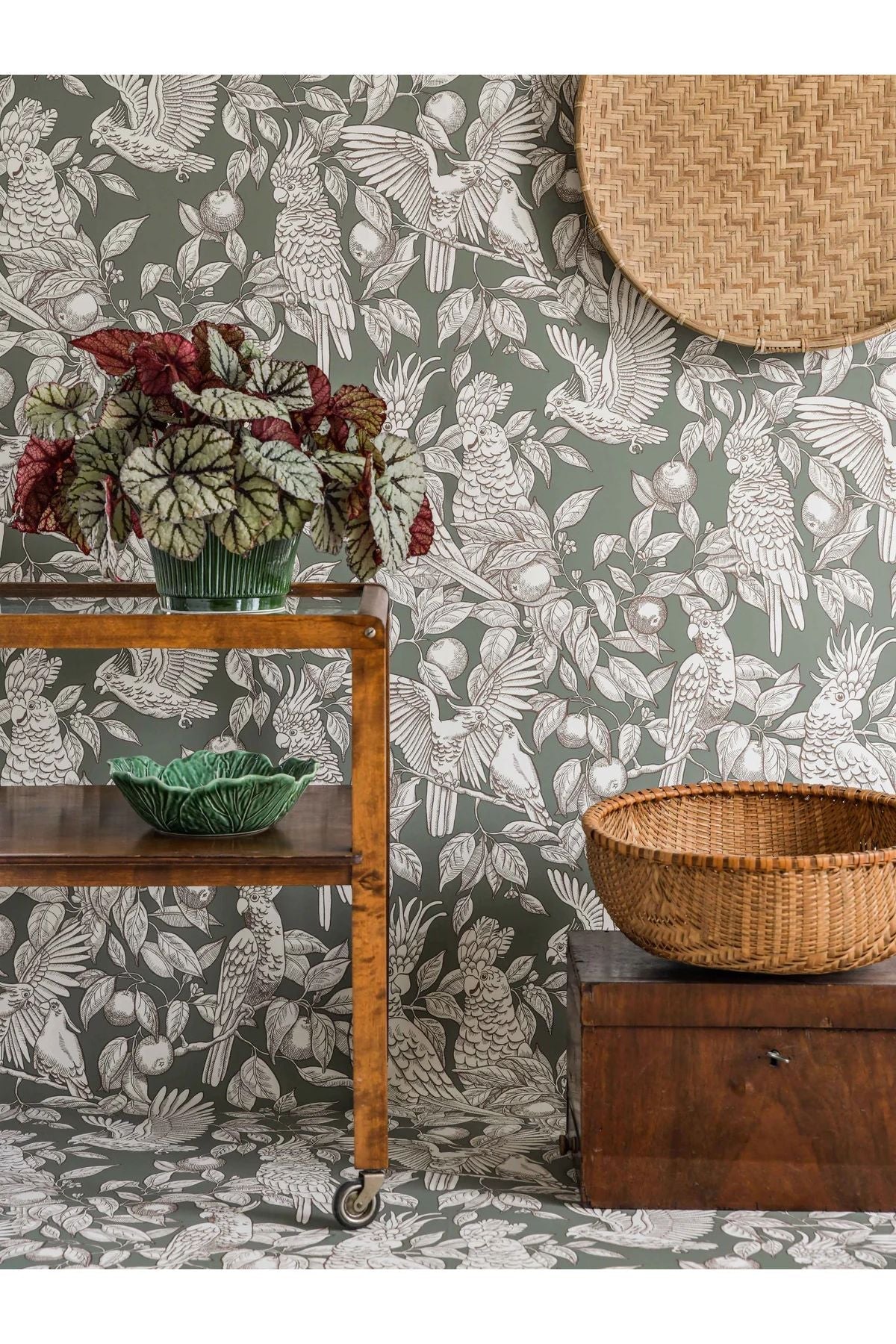 Wallpaper Talk About Cockatoos - Sage Green van Långelid / von Brömssen | Kids Conceptstore Le Fanfare