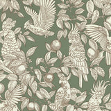 Wallpaper Talk About Cockatoos - Sage Green van Långelid / von Brömssen | Kids Conceptstore Le Fanfare