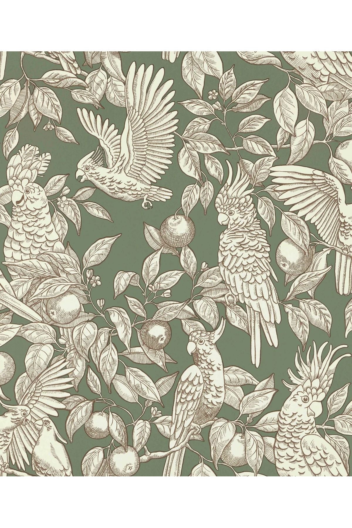 Wallpaper Talk About Cockatoos - Sage Green van Långelid / von Brömssen | Kids Conceptstore Le Fanfare