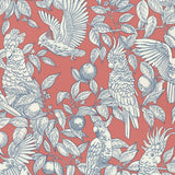 Wallpaper Talk About Cockatoos - Tomato van Långelid / von Brömssen | Kids Conceptstore Le Fanfare