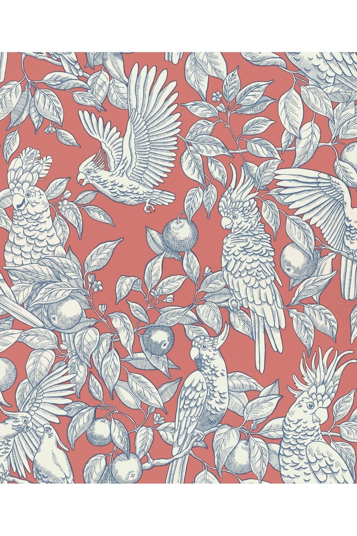 Wallpaper Talk About Cockatoos - Tomato van Långelid / von Brömssen | Kids Conceptstore Le Fanfare