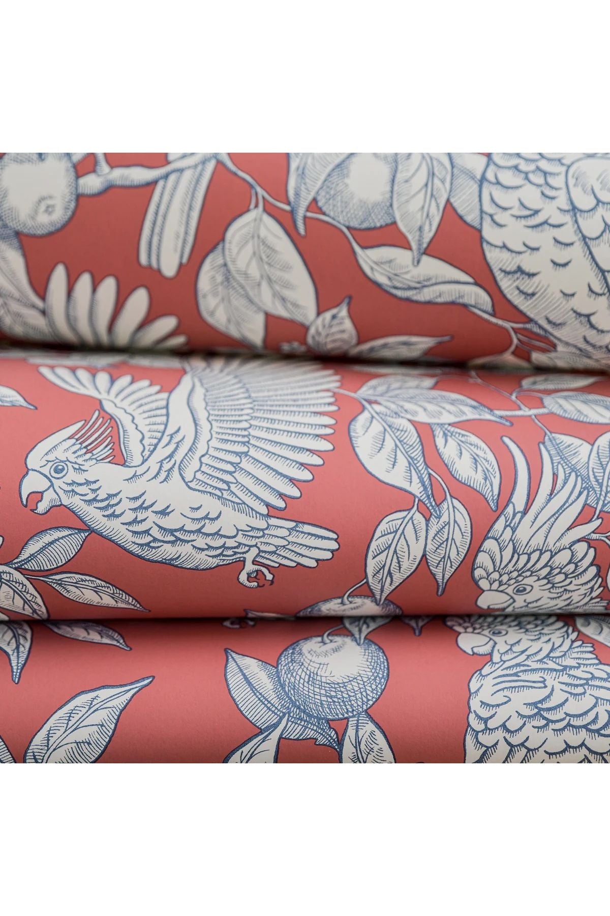 Wallpaper Talk About Cockatoos - Tomato van Långelid / von Brömssen | Kids Conceptstore Le Fanfare
