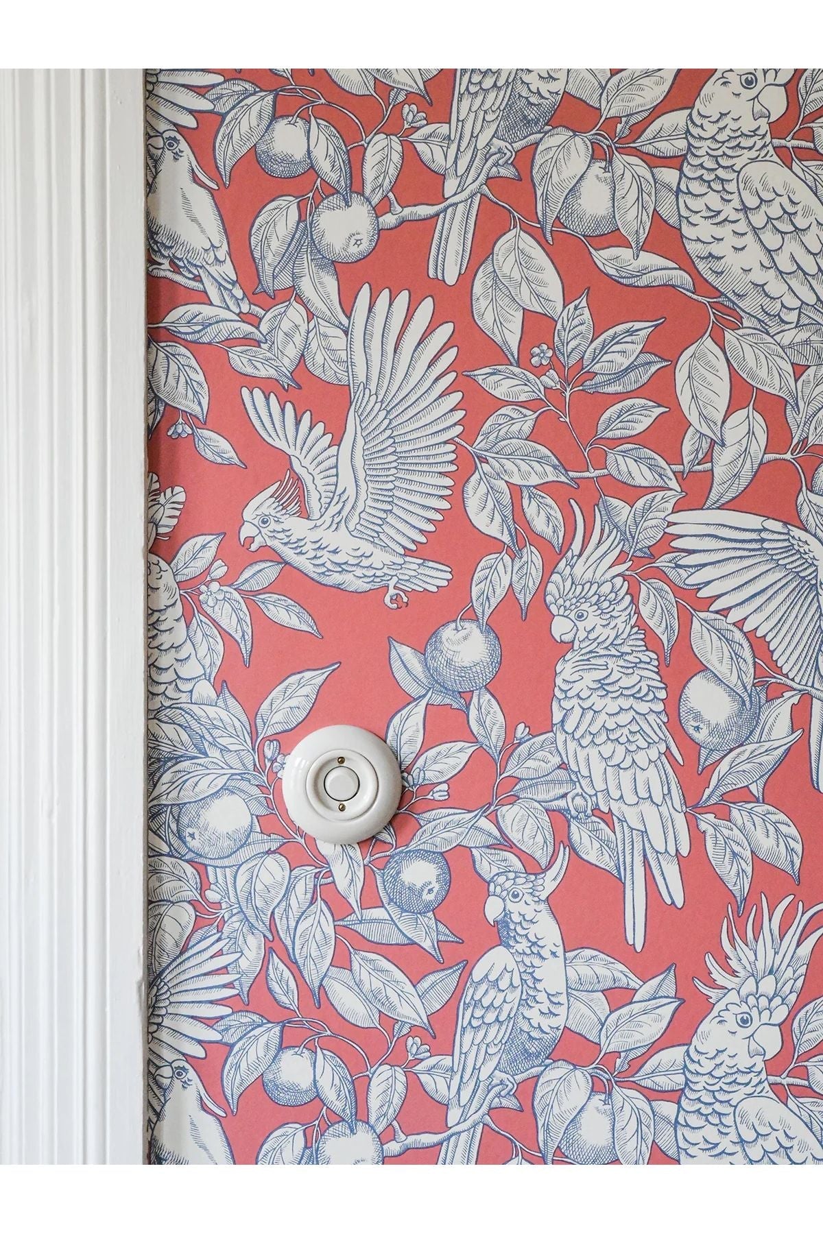 Wallpaper Talk About Cockatoos - Tomato van Långelid / von Brömssen | Kids Conceptstore Le Fanfare