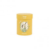 Konijn knuffel in box