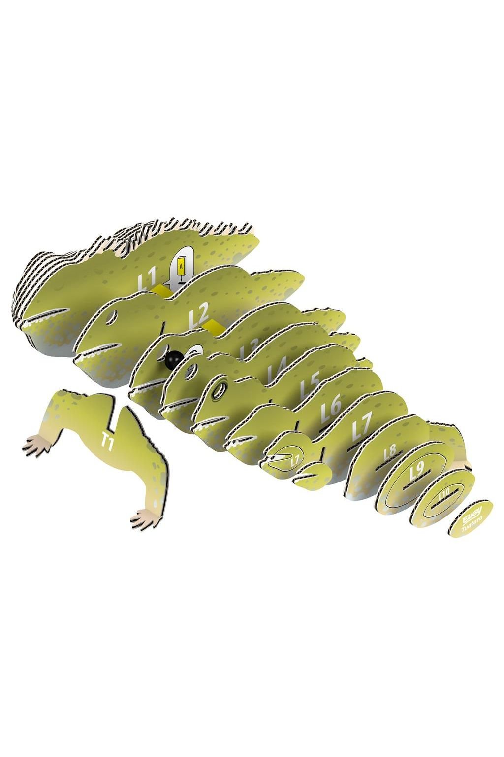 Wild Dier - Tuatara van Eugy | Kids Conceptstore Le Fanfare