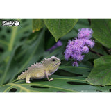 Wild Dier - Tuatara van Eugy | Kids Conceptstore Le Fanfare