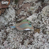 Zeedier - Rog van Eugy | Kids Conceptstore Le Fanfare