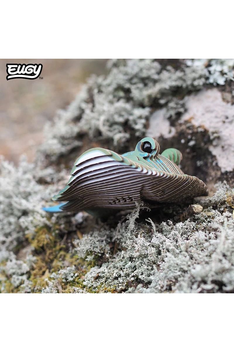 Zeedier - Rog van Eugy | Kids Conceptstore Le Fanfare