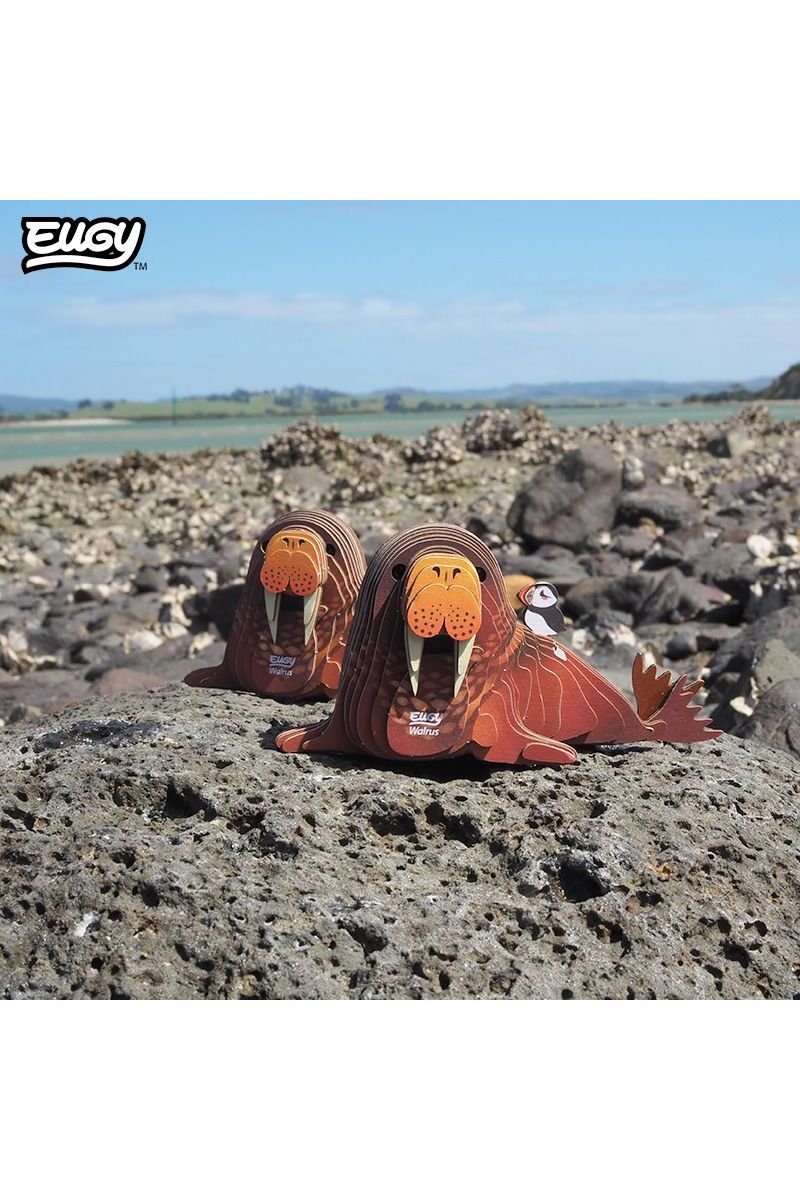 Zeedier - Walrus van Eugy | Kids Conceptstore Le Fanfare