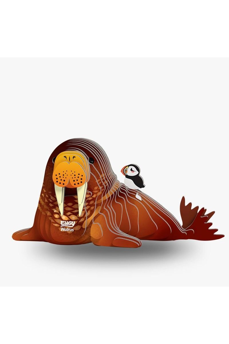 Zeedier - Walrus van Eugy | Kids Conceptstore Le Fanfare