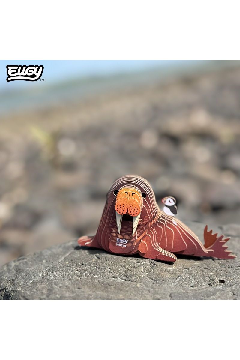 Zeedier - Walrus van Eugy | Kids Conceptstore Le Fanfare