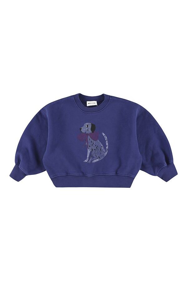 Zyco Bowdog maya sweater - Bic van Morley | Kids Conceptstore Le Fanfare